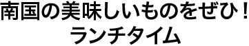 南国の美味しいものをぜひ！ ランチタイム