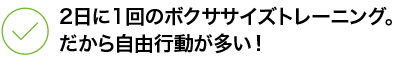 2日に1回のボクササイズトレーニング。 だから自由行動が多い！