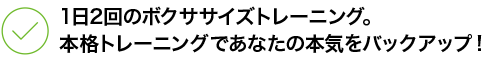 1日2回のボクササイズトレーニング。 本格トレーニングであなたの本気をバックアップ！