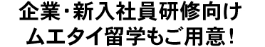 法人企業・新入社員研修向け ムエタイ留学もご用意！